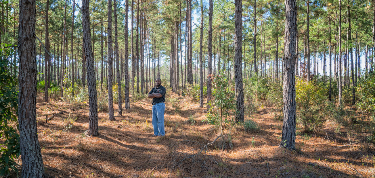 A man stands alone in a serene forest, surrounded by greenery and the natural beauty of towering trees