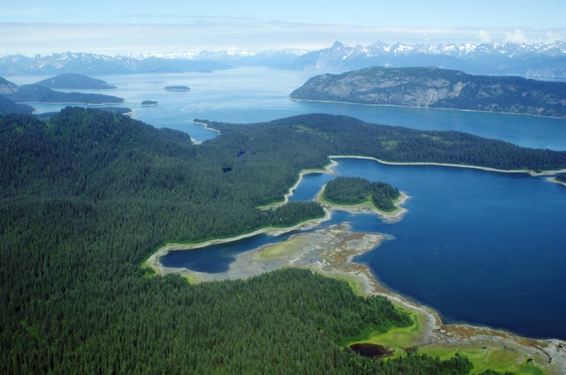 Bestof2020 Berg Bay sits within Glacier Bay National Park c National Park Service