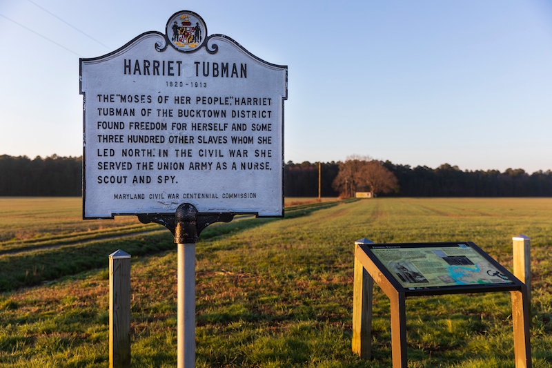 2 22 21 Harriet Tubman Rural Legacy Area MD c EcoPhotography201904053 
