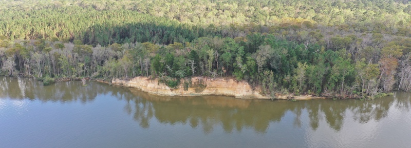 4 5 21 Arial view of the Blakeley Bluffs property courtesy of Keith West University of South Alabama 34