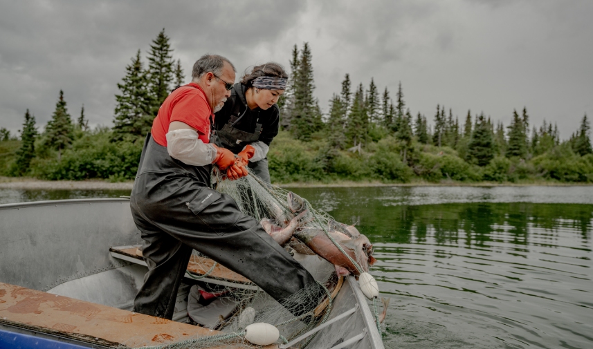 Two people catching salmon in a net in Bristol Bay, Alaska