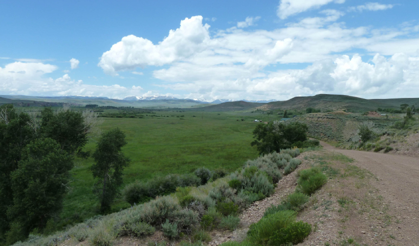 Green rolling hills in Wyoming with a through path and clouds in the blue sky