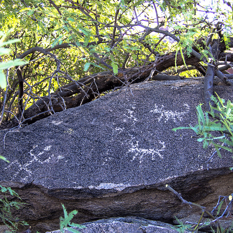 Vistoso Petroglyph 20190618 5 Fairway 0007