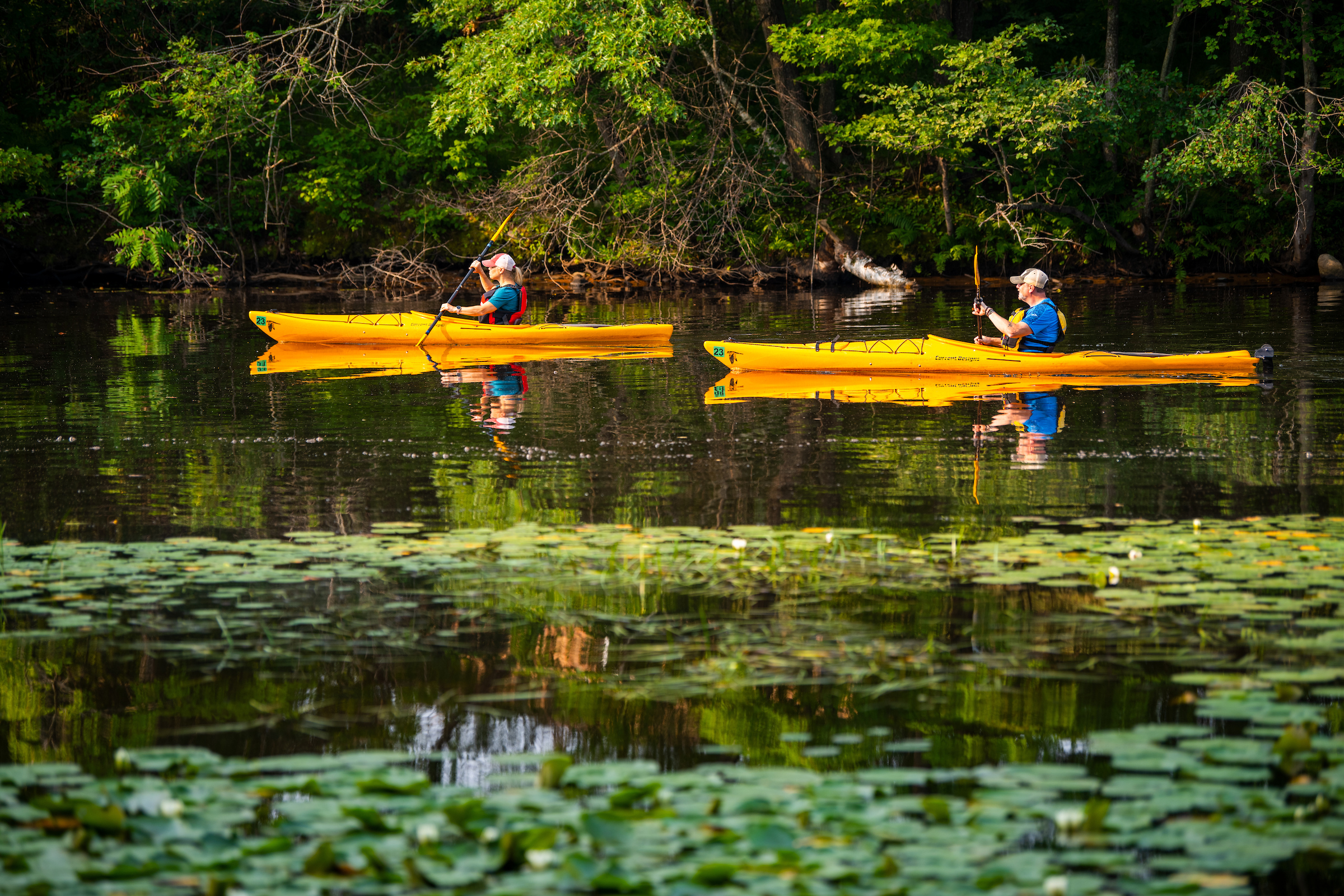 Two kayakers on a river in yellow kayaks