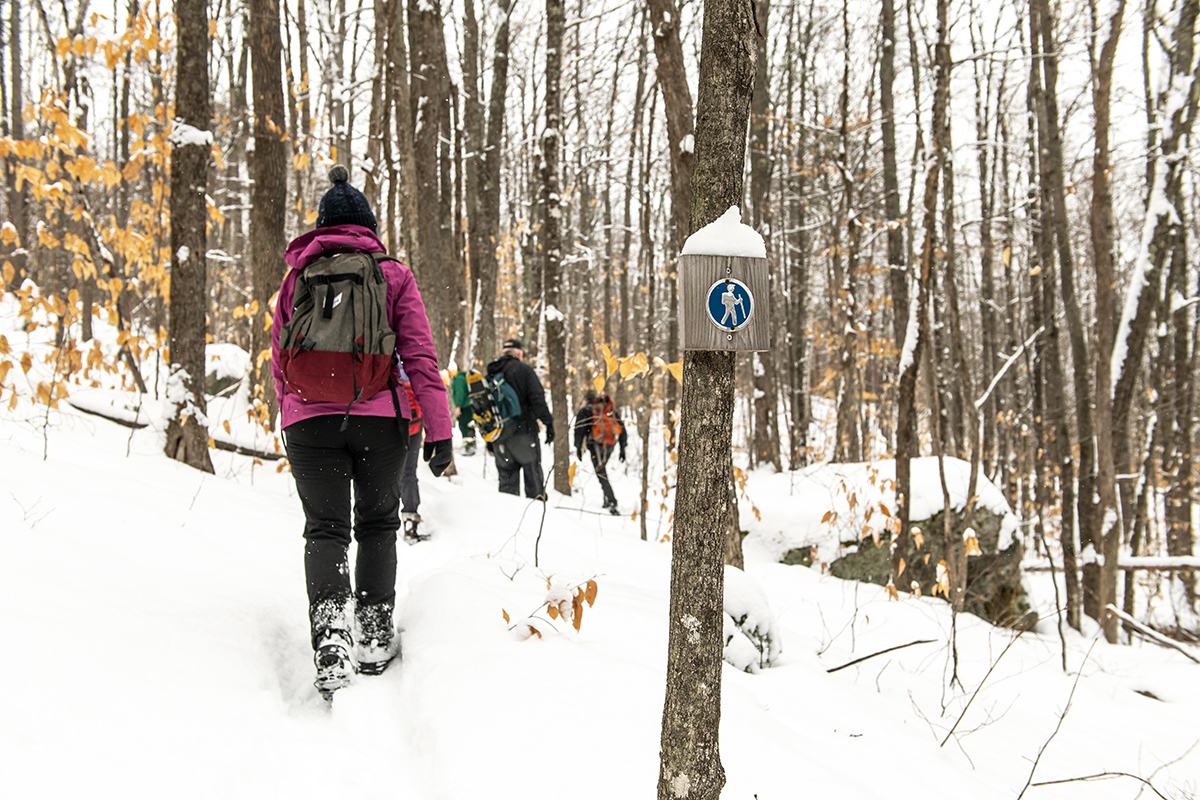 Group of hikers walking in the snow with trees and a hiker symbol sign on a tree