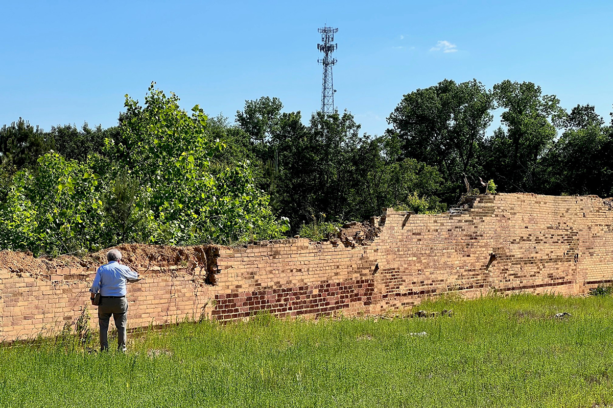 Man standing near crumbling brick wall with overgrown trees