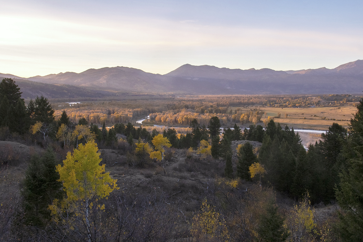 Yellow and green trees with a winding river and mountains in the background