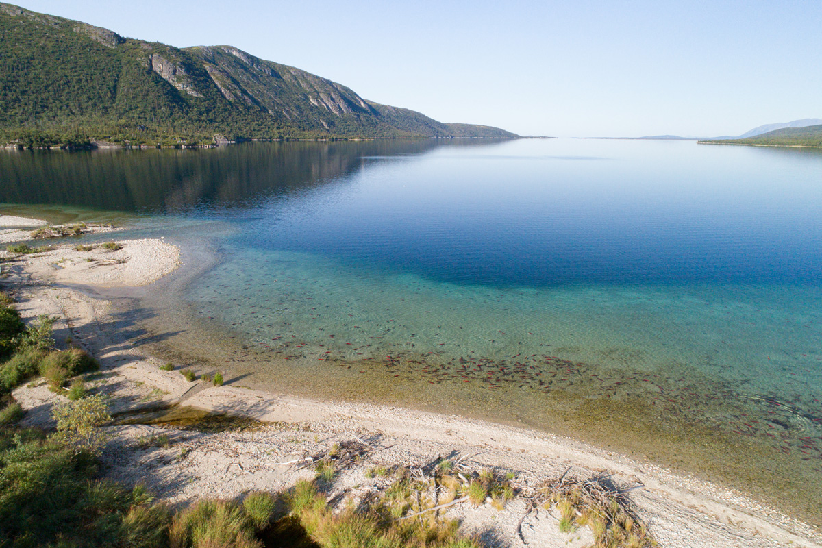 Blue water along a sandy beach with green cliffs in the background