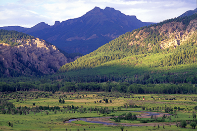 Green valley with rinding river and trees with large mountains in the background