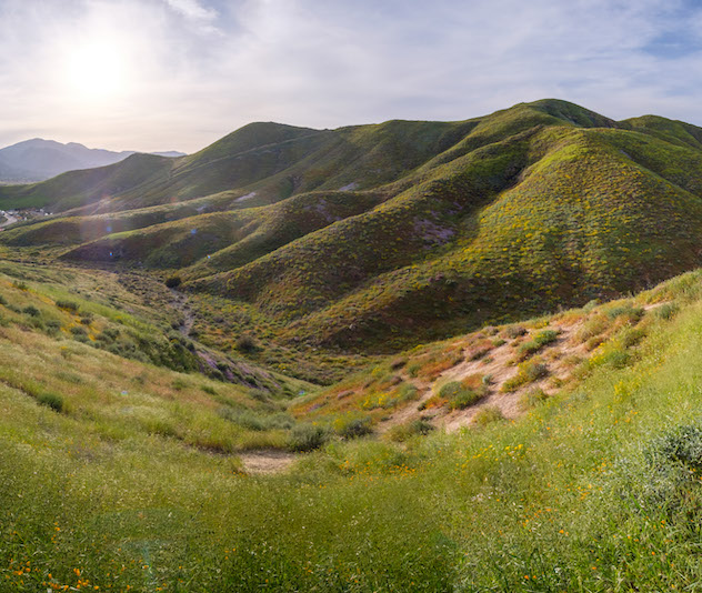 Rolling grassy hilly