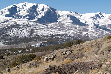 Group of people in camouflage walking through the brush on a hillside with snow covered mountains in the background