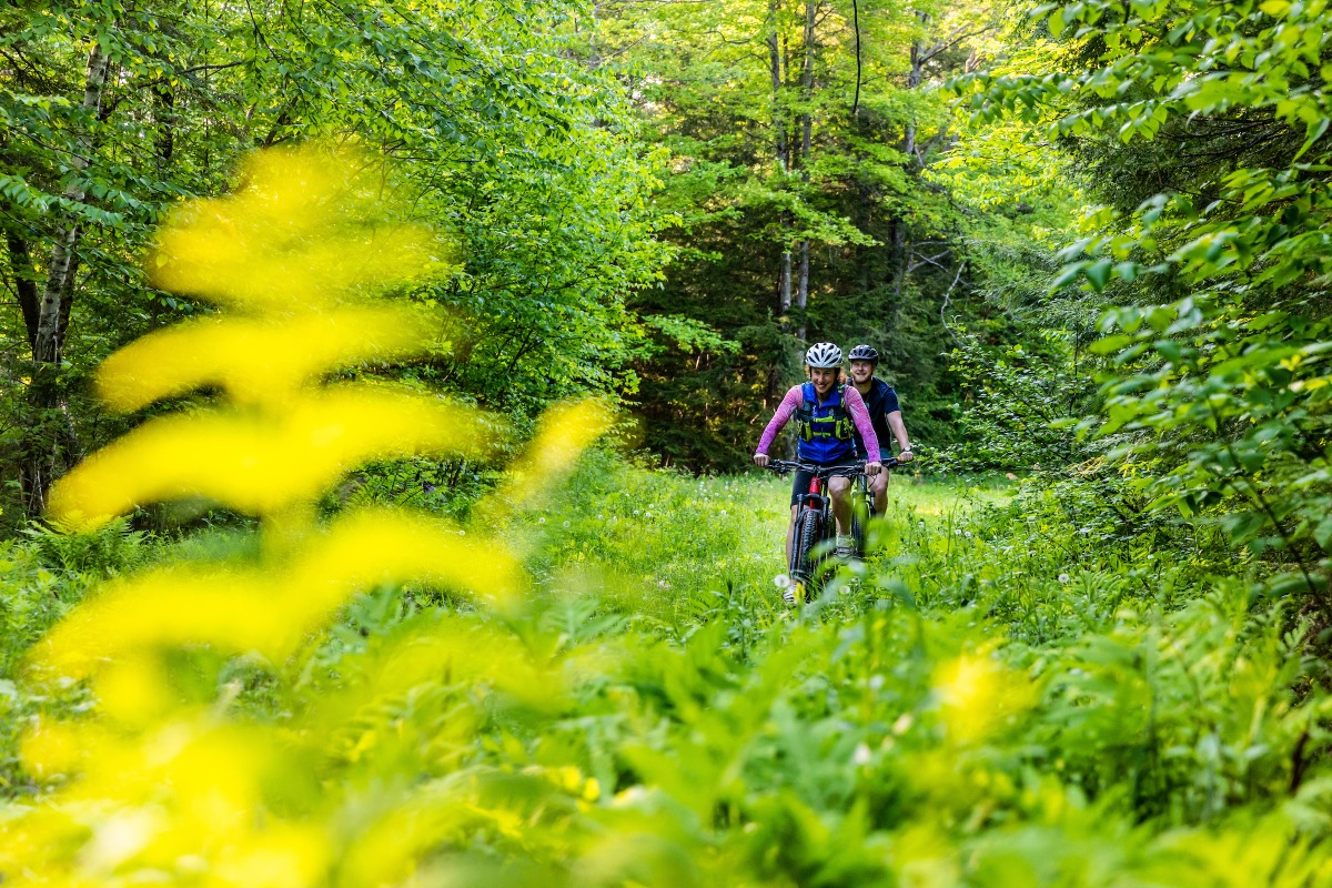 Two people biking on a grassy trail in a green forest