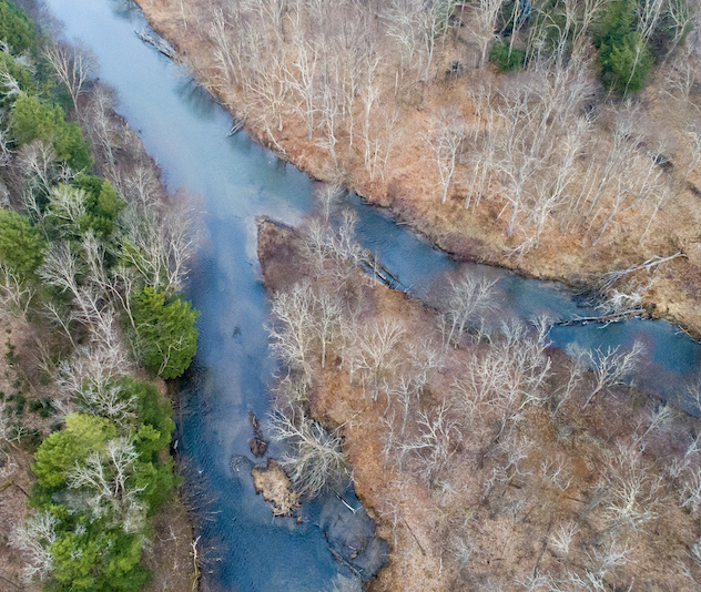 Fork in a river from above