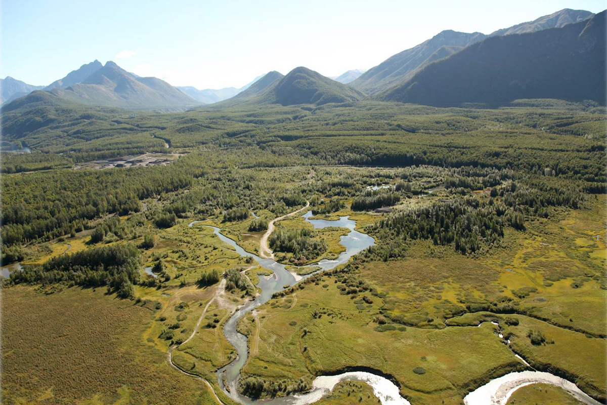 Winding river through trees and mountains in the background