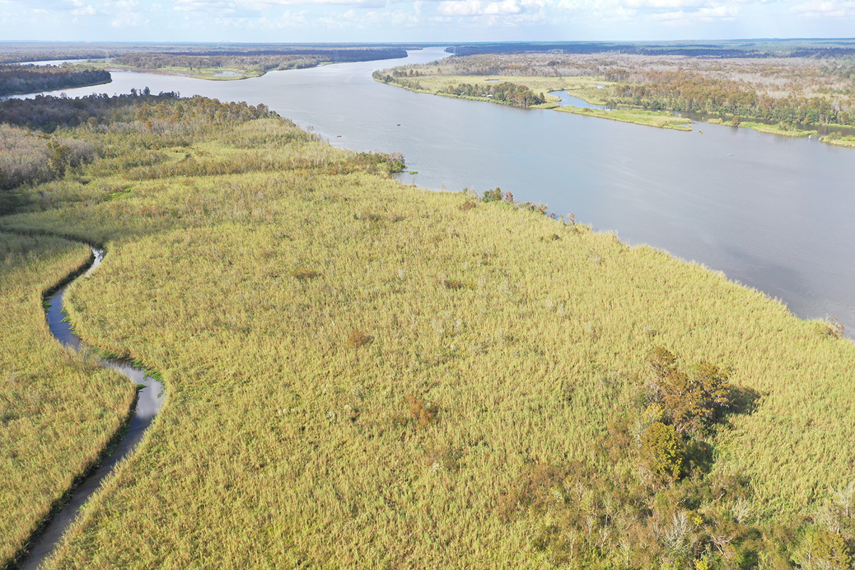 River stretching through trees and small plants from above