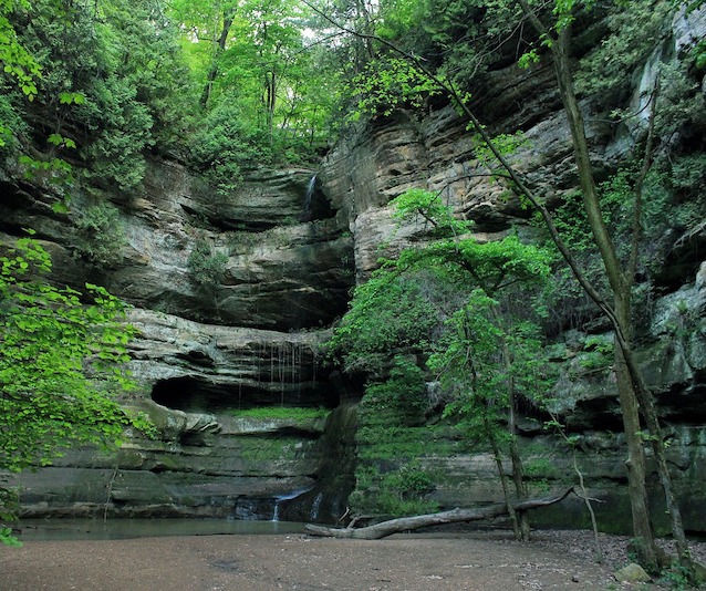 Rockface with green trees around and water dripping down