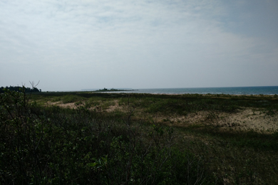 Grassy dunes with lake view in the background