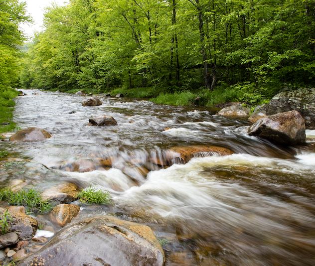 Running water in a stream in a forest