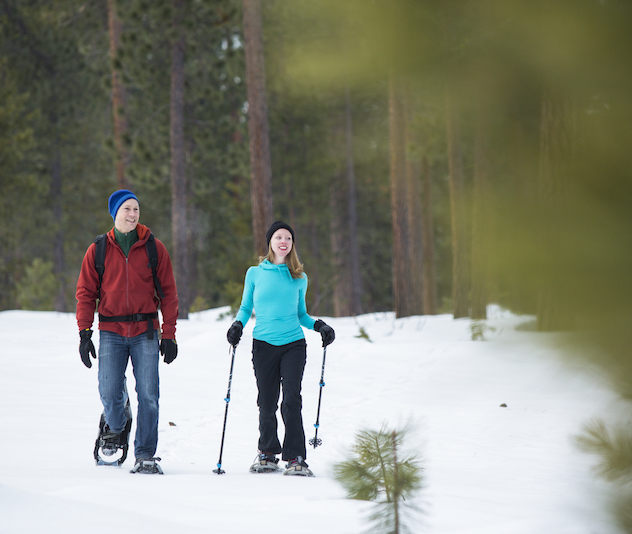 Two snowshoers hiking through a snowy forest