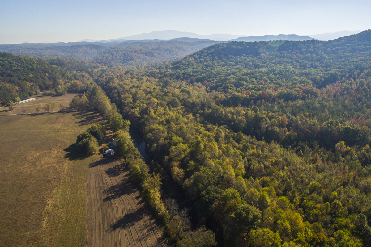 Field with stream and forest stretching out to the right