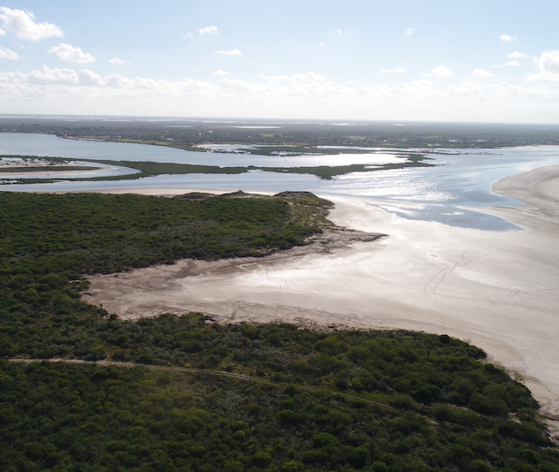 Sandy beach with ocean and trees