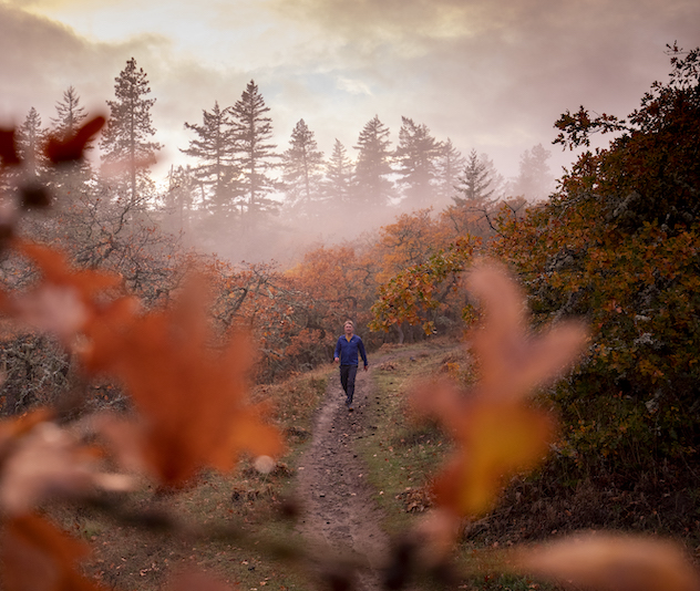 Man walking through the a forest with trees with red leaves