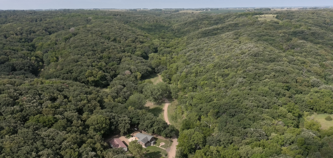 Aerial view of Newton Hills State Park's lush forest with a winding road cutting through the greenery, showcasing nature's beauty from above.