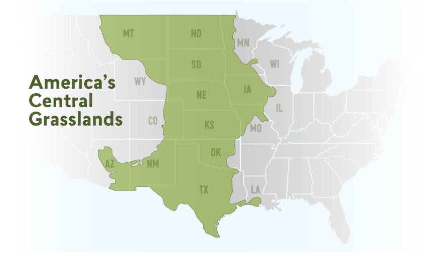 Map of the United States highlighting states that encompass America's central grasslands, showcasing their geographical distribution.